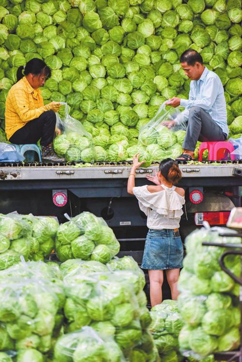 蔬菜供应商市场动态透视