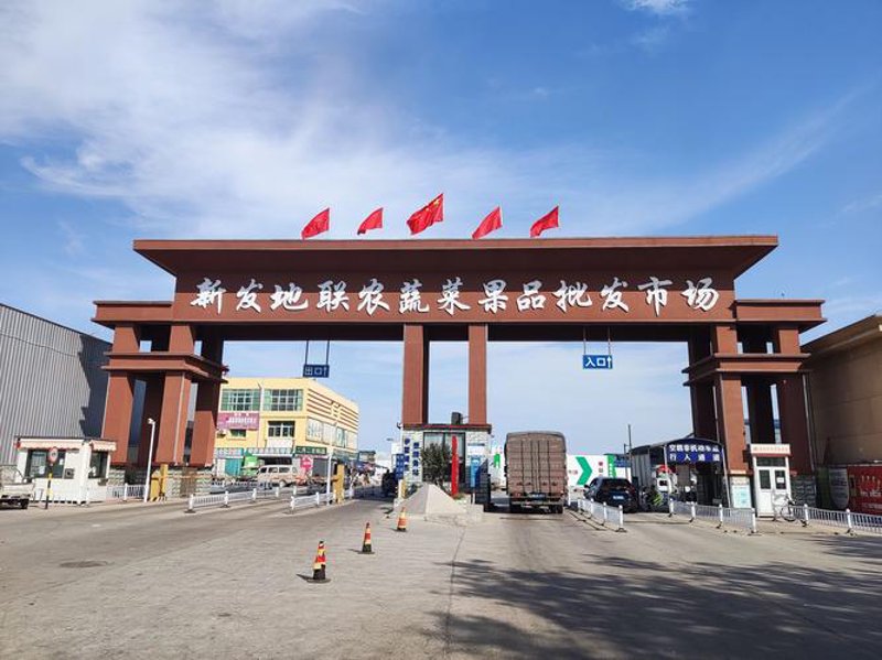 常州蔬菜批发：新鲜蔬菜让餐桌更丰富
